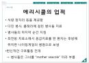 메리 시콜 (Mary Seacole) 메리 시콜의 생애,메리 시콜의 업적,메리 시콜의 리더십.pptx 8페이지