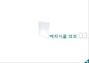 메리 시콜 (Mary Seacole) 메리 시콜의 생애,메리 시콜의 업적,메리 시콜의 리더십.pptx 10페이지