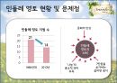 민들레영토성공전략,경영전략,민들레 영토 VS 스타벅스,브랜드마케팅,서비스마케팅,글로벌경영,사례분석,swot,stp,4p 16페이지
