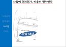 삼성반도체 불산 누출사고 ppt자료 13페이지
