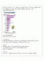 엠에스엔-다국적 기업의 해외진출 실패사례 분석,MSN의 국내시장 진출,SWOT을 통한 실패요인 분석 7페이지