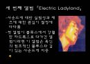 지미 헨드릭스,미국의 기타리스트_가수 _ 작곡가 ppt자료 12페이지