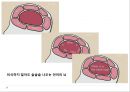 휴리스틱과 바이어스 (잉그리치의 실험, 이중 프로세스 이론, 운동선수의 휴리스틱, 정보처리 프로세스, 프레임 문제, 프레임 차이의 예, 남녀 차이).pptx 10페이지