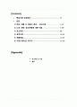 국제광고마케팅전략사례_글로벌 현지화전략,국제광고전략,브랜드마케팅,서비스마케팅,글로벌경영,사례분석,swot,stp,4p 2페이지