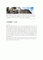 테마파크- 에버랜드의 서비스 마케팅,롯데월드의 서비스마케팅,롯데월드, 에버랜드 서비스의 문제점,브랜드마케팅,서비스마케팅,글로벌경영,사례분석,swot,stp,4p 12페이지