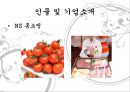 ns홈쇼핑vs화웨이,공통점 및 차이점,NS홈쇼핑 국내 5위,화웨이 매출액,지시형 리더십 = 런정페이,후원적 리더십 8페이지