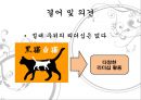 ns홈쇼핑vs화웨이,공통점 및 차이점,NS홈쇼핑 국내 5위,화웨이 매출액,지시형 리더십 = 런정페이,후원적 리더십 29페이지