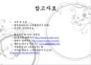 ns홈쇼핑vs화웨이,공통점 및 차이점,NS홈쇼핑 국내 5위,화웨이 매출액,지시형 리더십 = 런정페이,후원적 리더십 30페이지