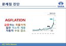 TATA자동차-TATA기업분석,TATA경영전략사례,브랜드마케팅,서비스마케팅,글로벌경영,사례분석,swot,stp,4p 38페이지
