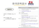 공기업공공기간-한국거래소사례,한국전력공사사례,브랜드마케팅,서비스마케팅,글로벌경영,사례분석,swot,stp,4p 13페이지