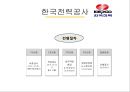 공기업공공기간-한국거래소사례,한국전력공사사례,브랜드마케팅,서비스마케팅,글로벌경영,사례분석,swot,stp,4p 14페이지