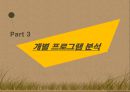 국내 리얼리티 프로그램 포맷 분석,tvn의 코미디 빅리그,예능프로그램 ppt자료 15페이지