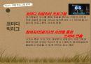 국내 리얼리티 프로그램 포맷 분석,tvn의 코미디 빅리그,예능프로그램 ppt자료 20페이지