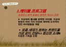 국내 리얼리티 프로그램 포맷 분석,tvn의 코미디 빅리그,예능프로그램 ppt자료 29페이지
