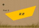 국내 리얼리티 프로그램 포맷 분석,tvn의 코미디 빅리그,예능프로그램 ppt자료 30페이지