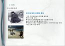 니콜라이 고골 (Nikolai Gogol)의  ,  줄거리, 분석, 감상, 와  비교분석, 1830~40년대의 러시아, 러시아 문학, 정치적 환경, 문학사조.pptx 25페이지