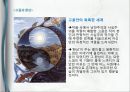 니콜라이 고골 (Nikolai Gogol)의  ,  줄거리, 분석, 감상, 와  비교분석, 1830~40년대의 러시아, 러시아 문학, 정치적 환경, 문학사조.pptx 39페이지