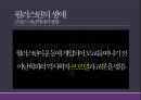 세계체제이론-이매뉴얼 월러스틴,월러스틴의 생애 5페이지