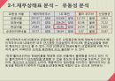 [재무분석]더베이직하우스,휠라코리아,LG패션,패션마케팅사례 16페이지