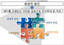 [종교에 따른 식문화]종교별 금기음식(기독교,흰두교,이슬람교,유대교,불교),종교와 사회문화 11페이지