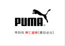 [푸마의 성공과실패]실패한 경영자 _ 아스민 다슬러,성공한 경영자 _ 요헨 자이츠,푸마 스포츠마케팅 1페이지