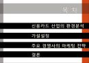 [신용카드 산업의 환경분석]신용카드 산업,신용 카드 시장,신한카드사례,현대카드사례,브랜드마케팅,서비스마케팅,글로벌경영,사례분석,swot,stp,4p 2페이지