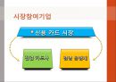 [신용카드 산업의 환경분석]신용카드 산업,신용 카드 시장,신한카드사례,현대카드사례,브랜드마케팅,서비스마케팅,글로벌경영,사례분석,swot,stp,4p 7페이지