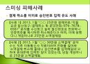 소비자 피해사례-숙박시설,성형수술,소셜커머스,스미싱,식품 피해사례 ppt자료 33페이지