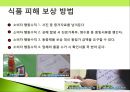 소비자 피해사례-숙박시설,성형수술,소셜커머스,스미싱,식품 피해사례 ppt자료 45페이지