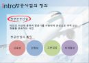 항공서비스산업-항공마케팅전략사례,항공사 분류,대한항공,아시아나항공,델타,브랜드마케팅,서비스마케팅,글로벌경영,사례분석,swot,stp,4p 4페이지