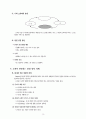 친절봉사와 직장예절 10페이지
