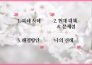 결혼이주여성 피해 사례, 대책, 문제점, 해결방안 등. PPT 2페이지