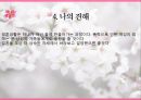 결혼이주여성 피해 사례, 대책, 문제점, 해결방안 등. PPT 12페이지