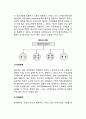 유통전략과 촉진전략_유통전략과 가격전략

 4페이지