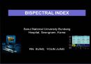 bispectral index 1페이지