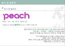 피치항공 경영전략분석과 피치항공 마케팅전략분석 및 피치항공 SWOT분석과 향후시사점 5페이지