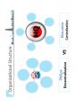 (영어,영문) Philips(필립스) vs Matsushita(마쓰시타; 마츠시타) Organizational Structure(조직 구조) 3페이지