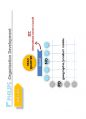 (영어,영문) Philips(필립스) vs Matsushita(마쓰시타; 마츠시타) Organizational Structure(조직 구조) 9페이지