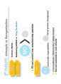 (영어,영문) Philips(필립스) vs Matsushita(마쓰시타; 마츠시타) Organizational Structure(조직 구조) 10페이지