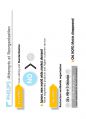 (영어,영문) Philips(필립스) vs Matsushita(마쓰시타; 마츠시타) Organizational Structure(조직 구조) 11페이지