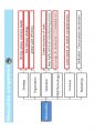 (영어,영문) Philips(필립스) vs Matsushita(마쓰시타; 마츠시타) Organizational Structure(조직 구조) 32페이지