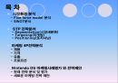 닌텐도DS 마케팅STP,4P전략분석 및 새로운 마케팅 전략 제안 PPT 2페이지