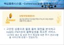 대한항공 물류시스템 분석 및 향후전망 13페이지