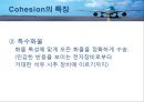 대한항공 물류시스템 분석 및 향후전망 19페이지