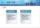 대한항공 물류시스템 분석 및 향후전망 34페이지