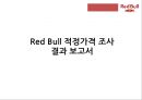 레드불 제품 분석및 적정격조사 1페이지