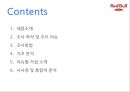 레드불 제품 분석및 적정격조사 2페이지