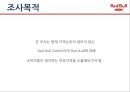 레드불 제품 분석및 적정격조사 4페이지