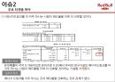 레드불 제품 분석및 적정격조사 14페이지