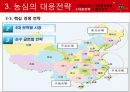 농심신라면 중국시장 진출위한 마케팅전략분석,향후전략 PPT 28페이지